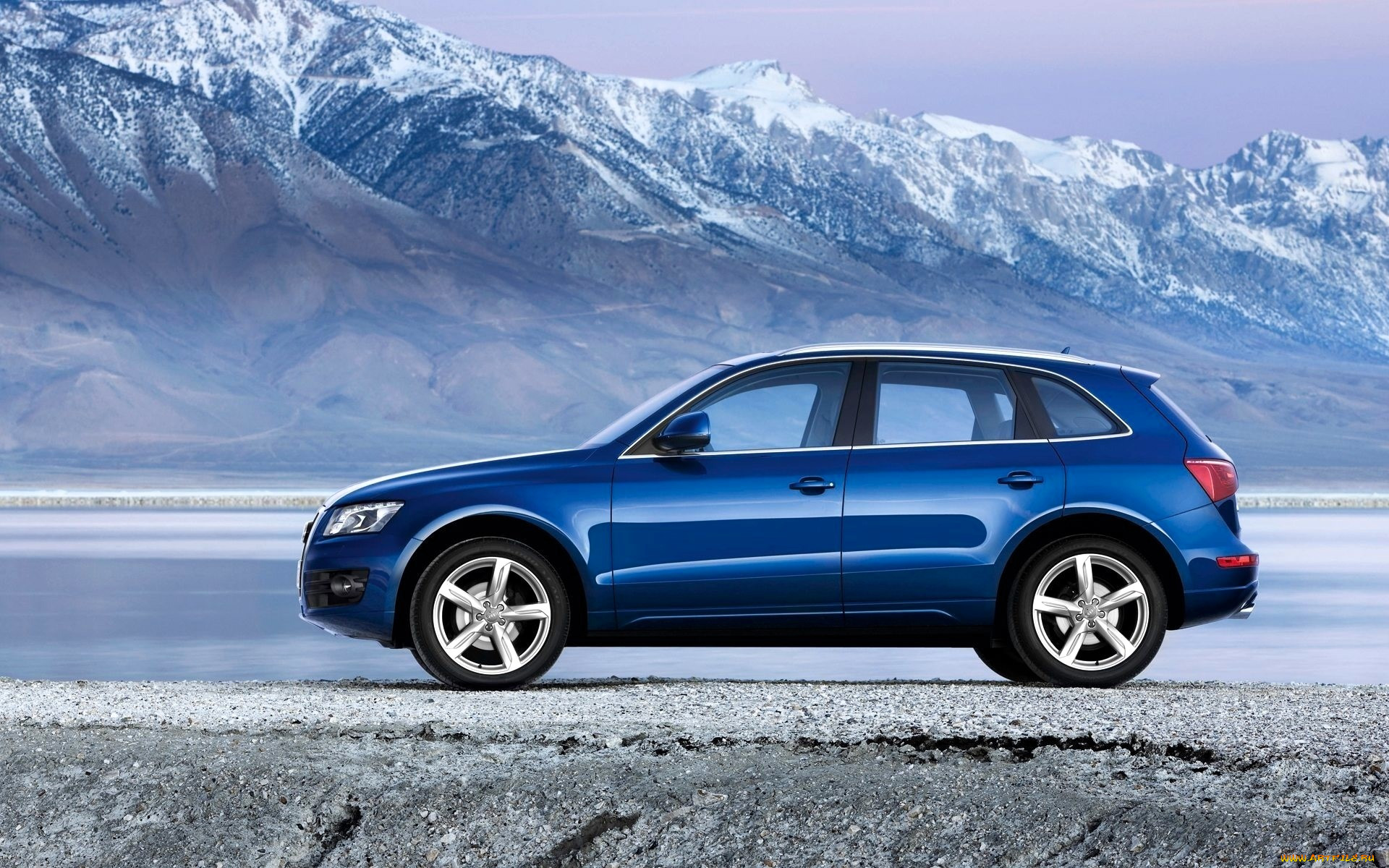 audi q5, , audi, , , 